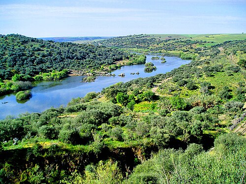 Guadiana River